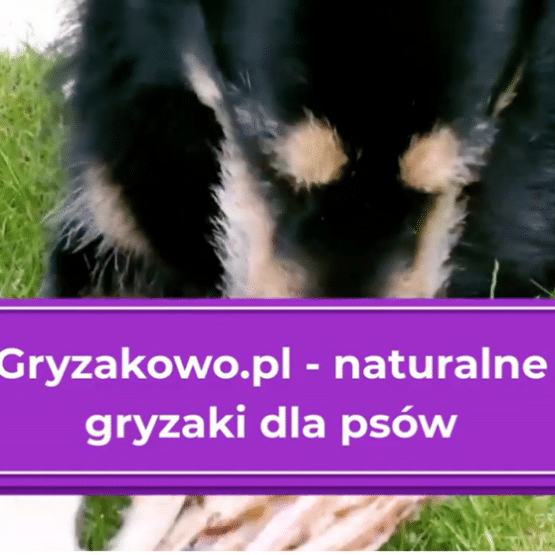Gryzakowo.pl